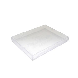 Stationery Tray Delco Clear B 146x186x23mm